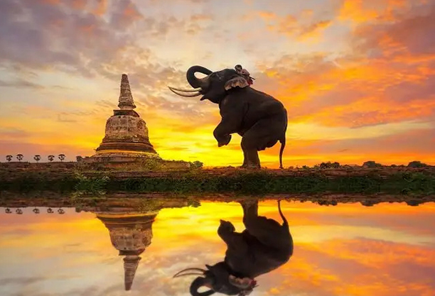 Things To Do Ayutthaya