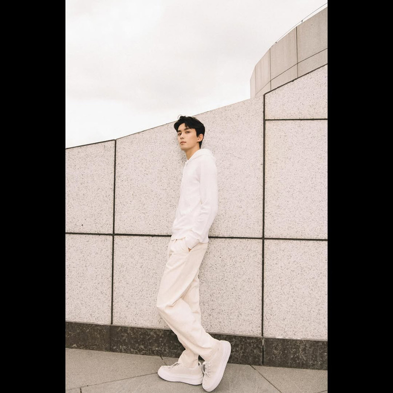 wulei snapins ai 2938842540540857487