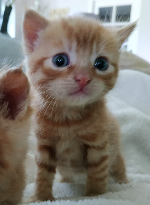 5D37FAF4-F3B1-4FC4-930D-5A604F9F2BF2