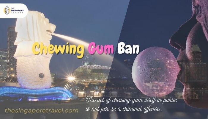 Chewing Gum Ban