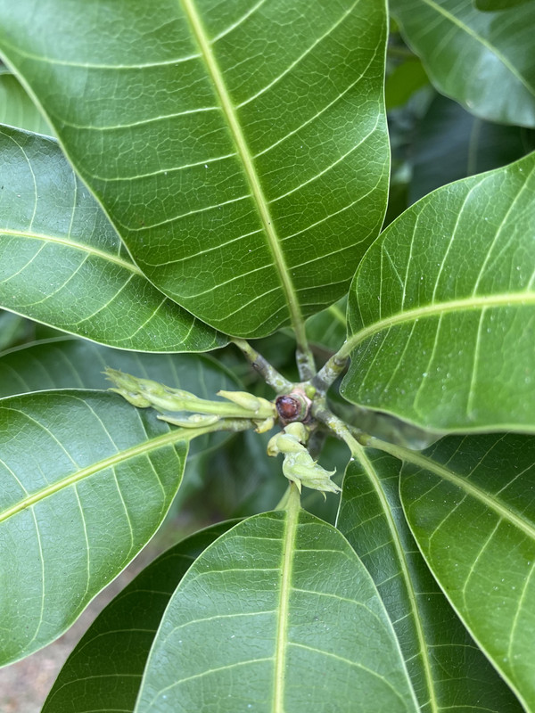 F8384E09-61A6-4768-9897-0D769972DF47