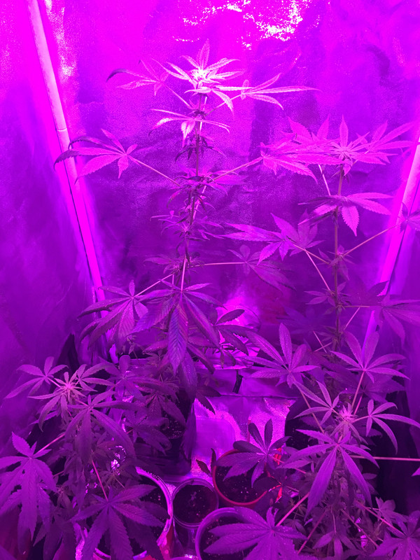 F2F6E5BD-A4CD-4D8F-BE00-AC2B433DD78F