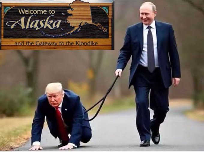 Donnie TACO Trump - The Putin's Poodle