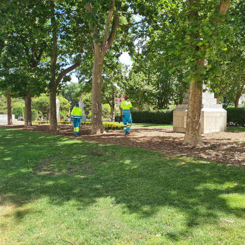 Park