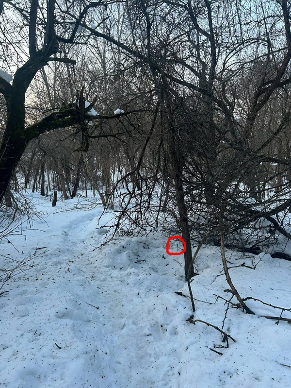 photo 2026 03 02 01 00 38