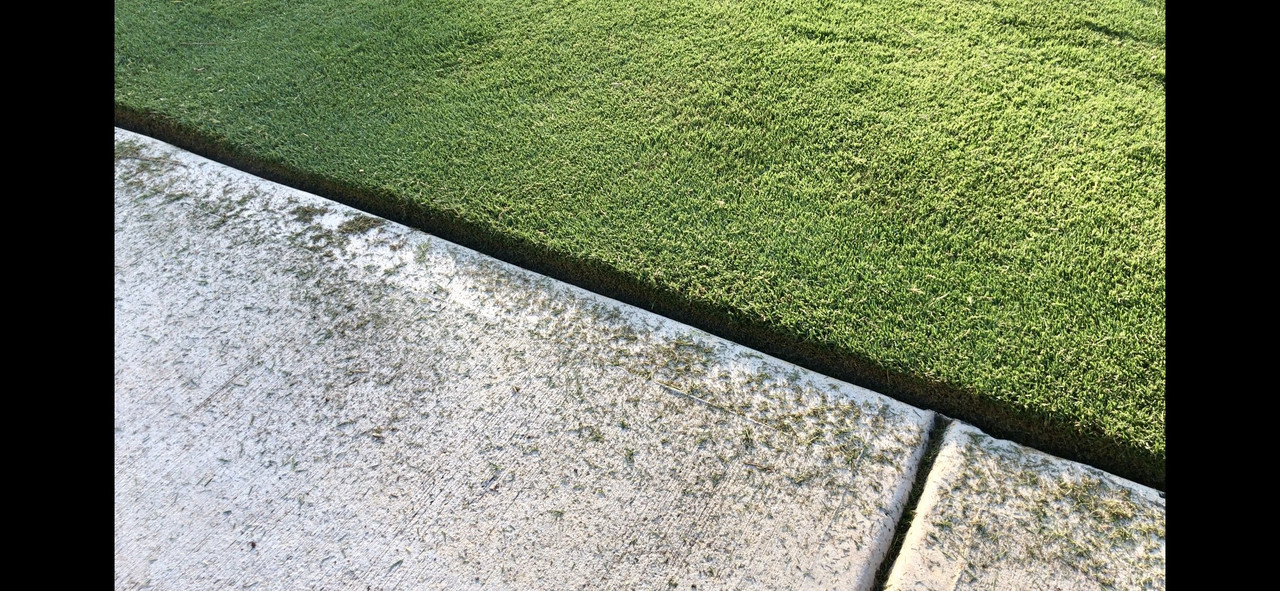 A7AE8265-B2E8-4675-9721-41C8ADB208C3