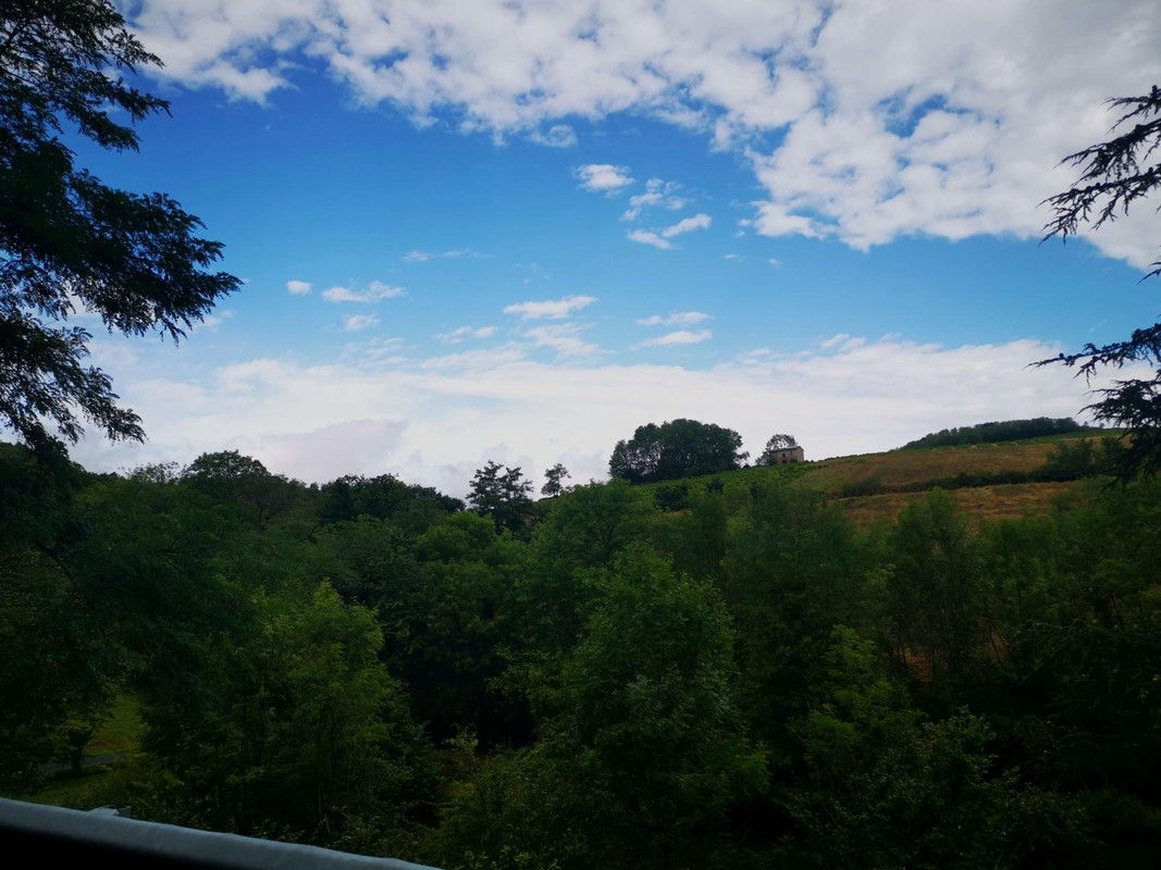 Bourgogne2019 (5).jpg.1