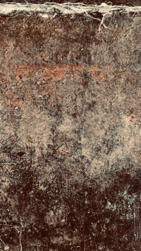 92105-B90-1-E1-C-4525-BF72-E956-E847-B8-CB.jpg