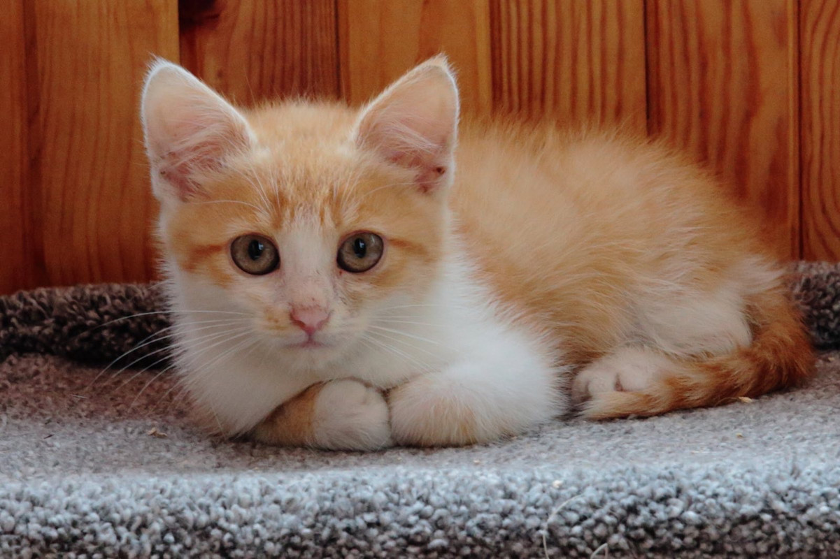 2B28CCEB-509C-406D-A24A-5C531540712D