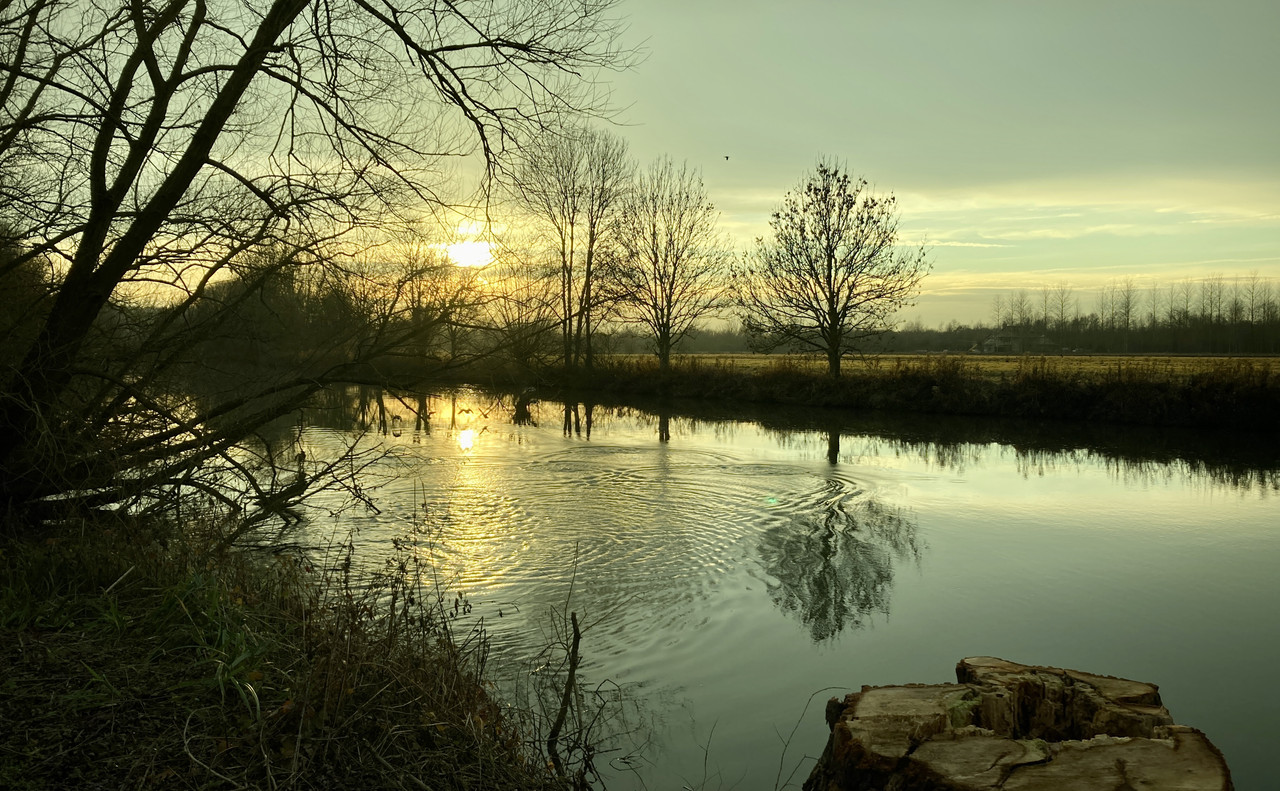 E0D3E8BE-BA96-4523-8A9B-C3B20A5CC1DC