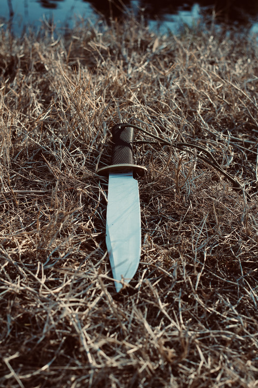 8F9AF3E1-B6E0-4B89-9C35-E953097ADE3B