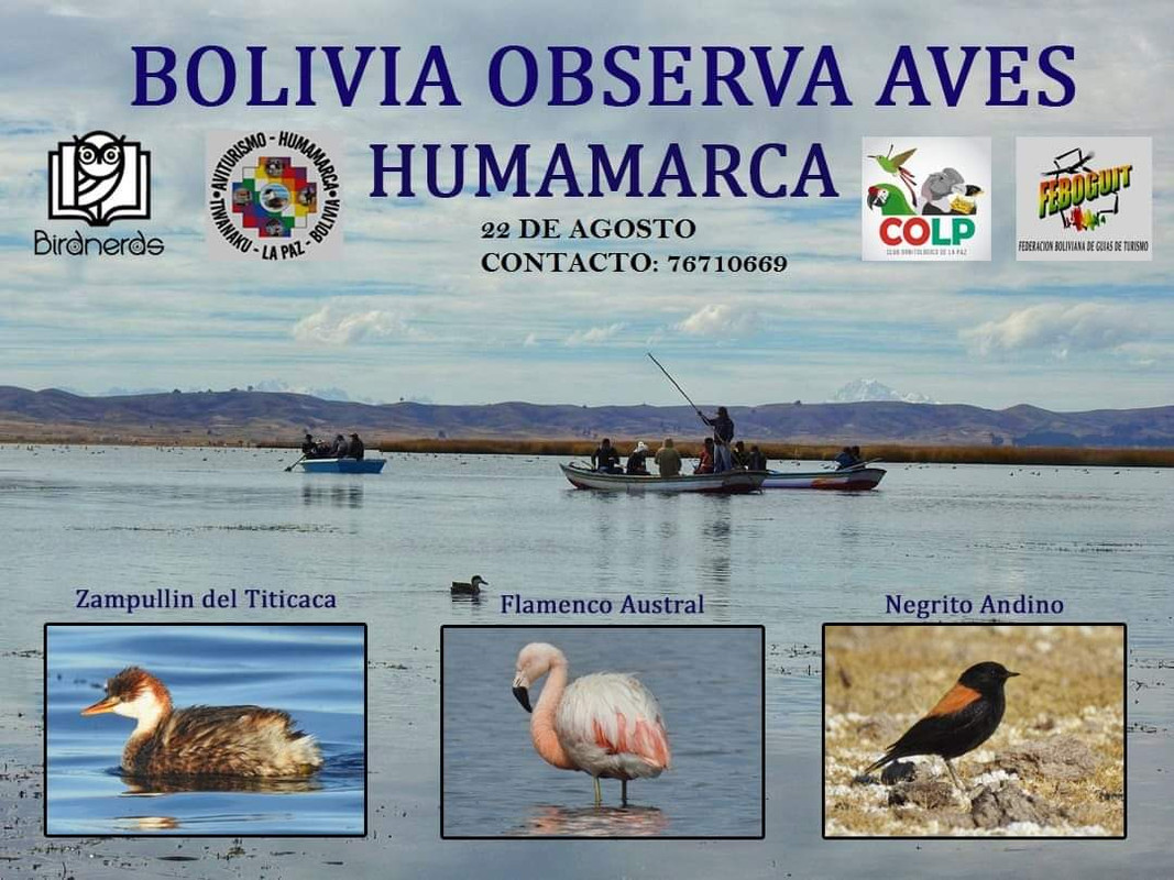 WhatsApp Image 2021-08-19 at 8.22.45 AM (1)