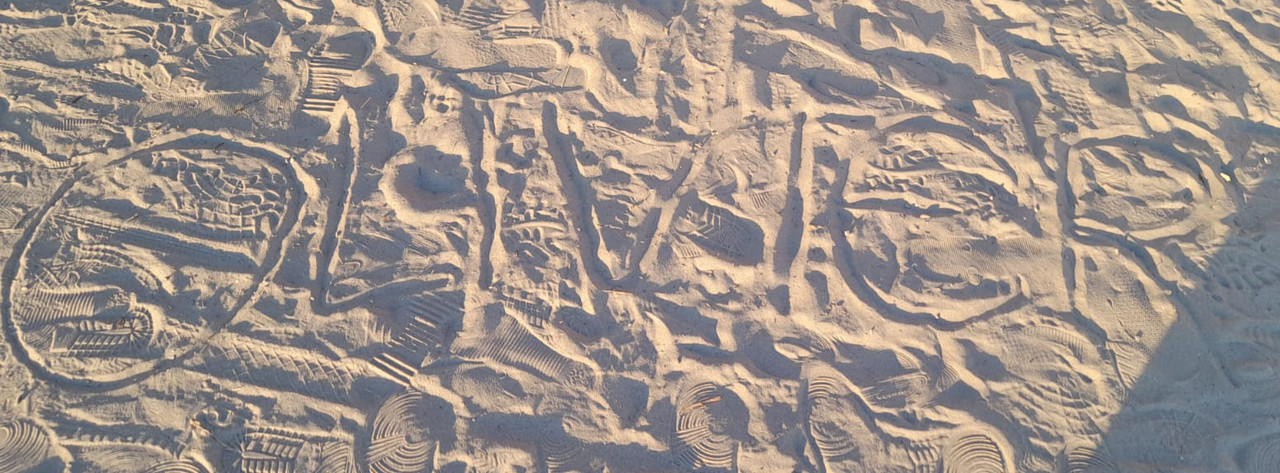 Olivier inscrit dans le sable
