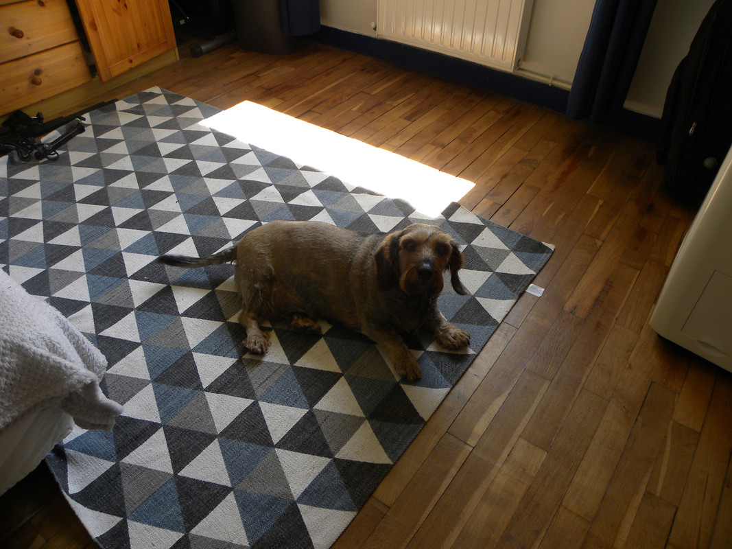 [Image: DSCN9767.jpg]