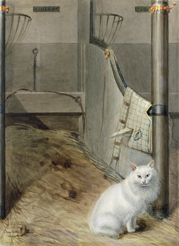 Lady-Charlotte-Schreiber-White-Persian-Cat-in-a-Stable-Meister-Drucke-145513