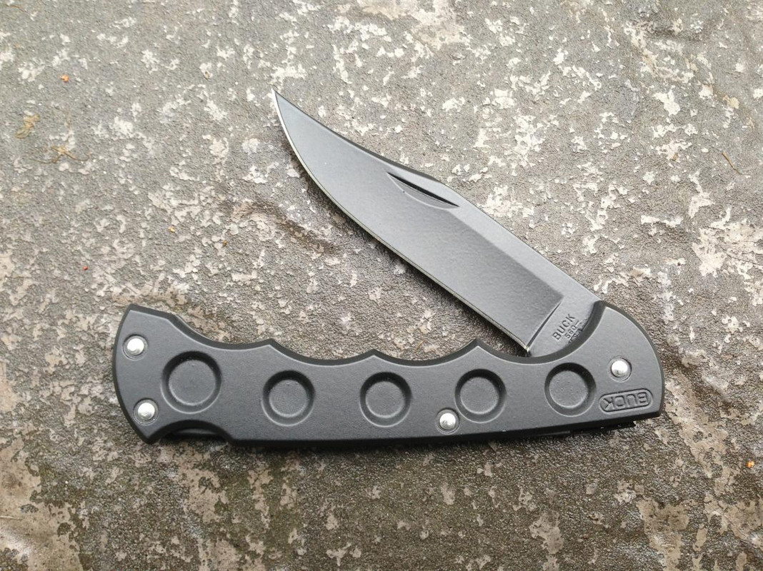 Buck_560.jpg