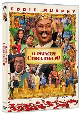 Il principe cerca figlio (2021) DVD 5 COMPRESSO ITA