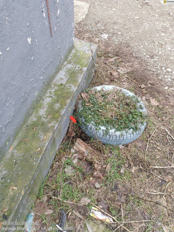 IMG 20260110 140200 355