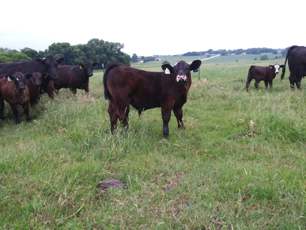 B7DA169F-29E9-43AD-B776-4A02C409B09B