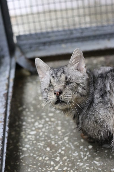 ED50D80C-F37F-4BF1-A782-CDDC250BE306