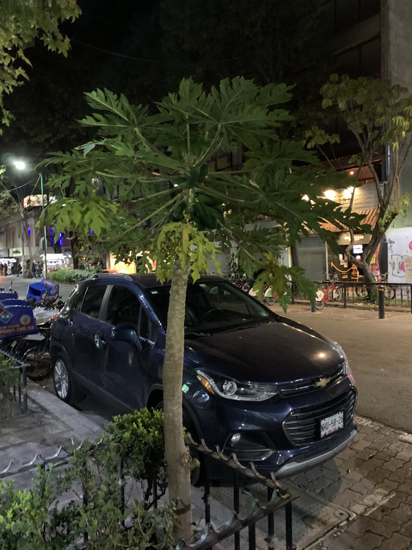 5DD47EBE-94E2-420E-B269-2B2534BACD78