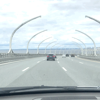AF2-D7-B8-A-4-F03-497-F-8550-5070-F87010-FD.gif