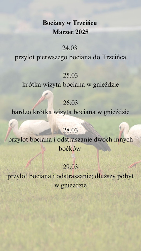 03KalendariumMarzec25