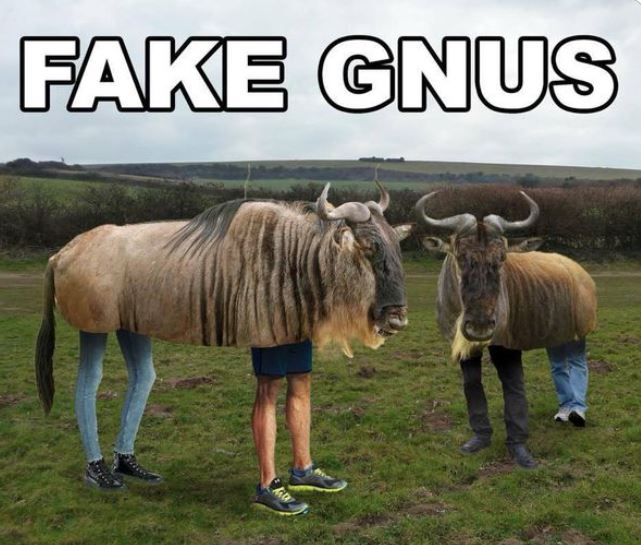 fake-gnus.jpg