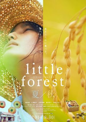 Little-Forest-Summer-Autumn-a1