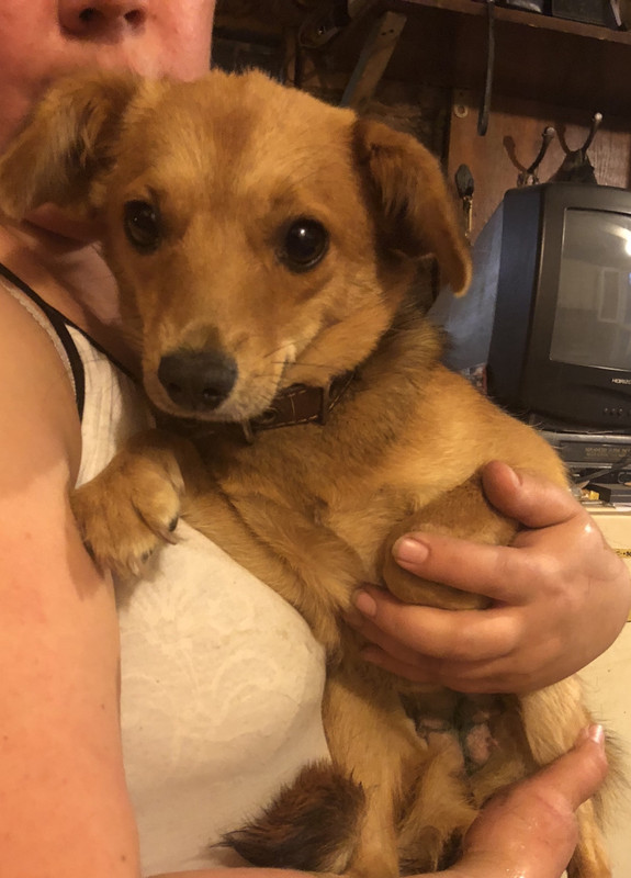 8A1DF68E-B3E8-450E-8A56-AD273F9DF5CE