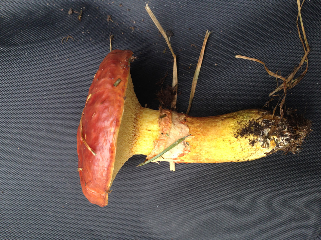 A8373CDD-8077-4891-8148-6075E611BD74