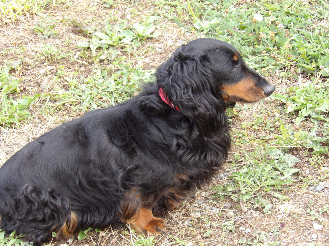 [Image: 125-0051.jpg]