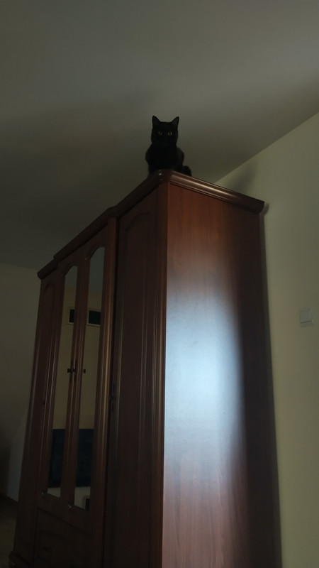 IMG 20251025 100716041 HDR