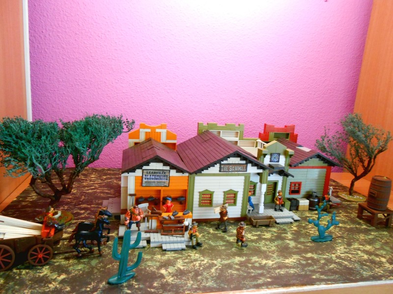 DSCN5313