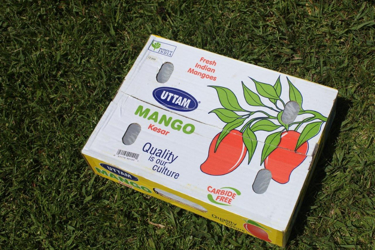 IMG_3185  Kesar Mango Box with (12) Mangos 