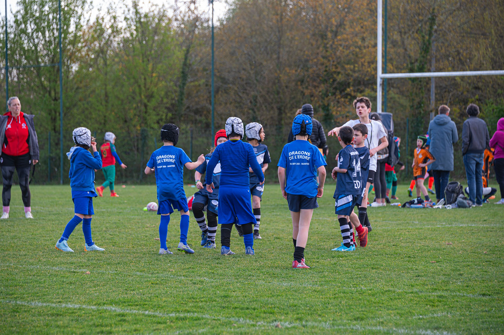 tournoi-de-latlantique-2026-adonis-griffon-84-55180400807-l