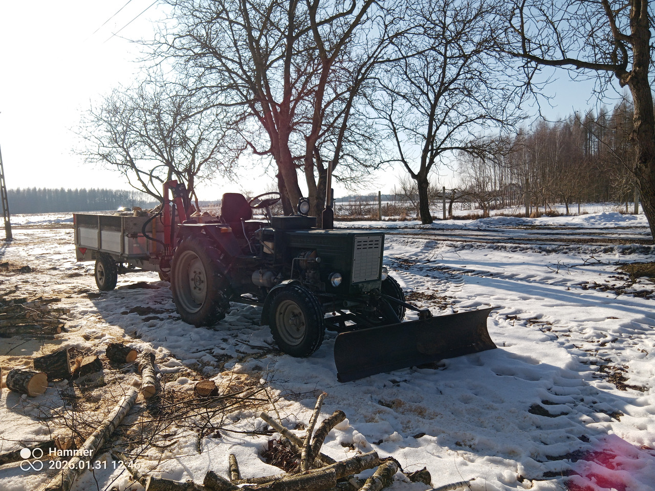 IMG 20260131 124611 625