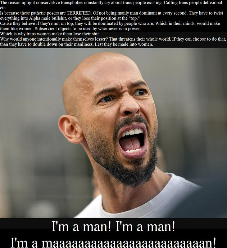 transphobes terrified of losing man hood