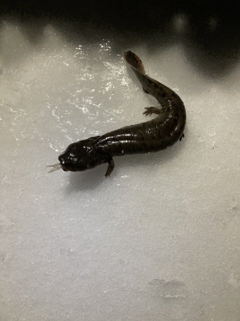 89E92DD0-9635-4F51-934B-53F6B8595930