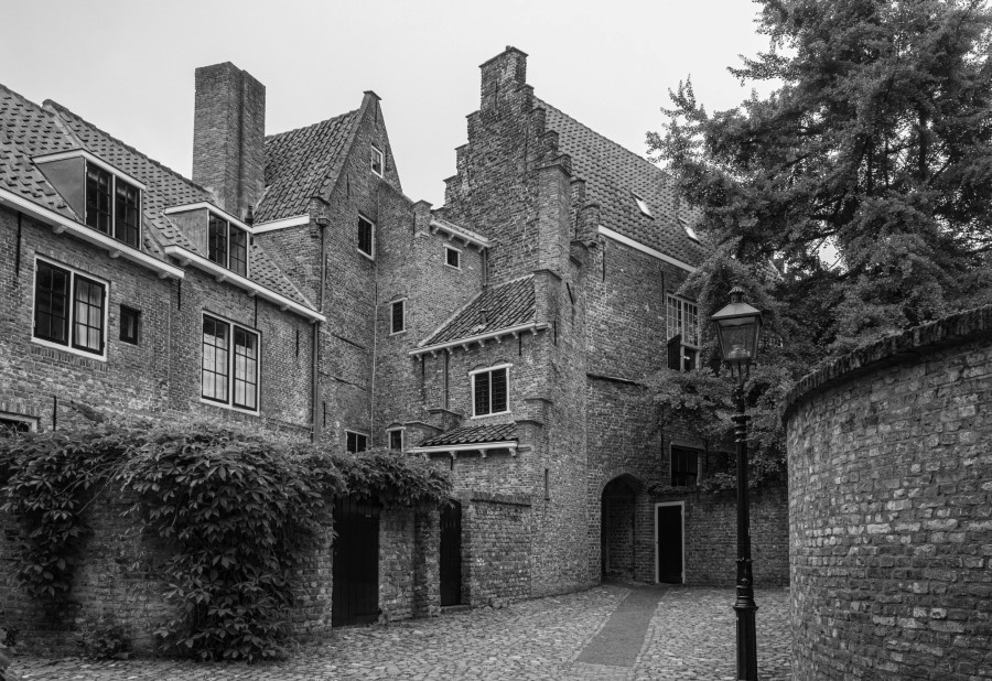 Fotografie