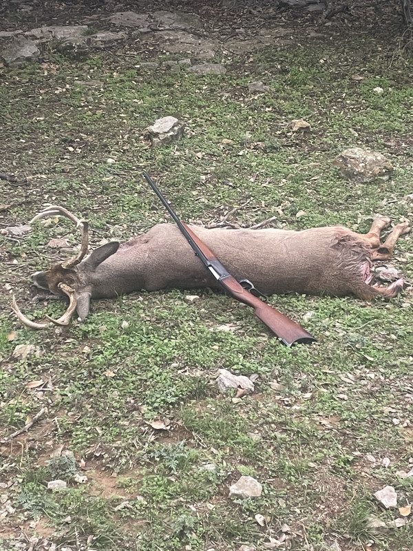 2892526E-73B4-424B-818A-4F9F8ACBFECA