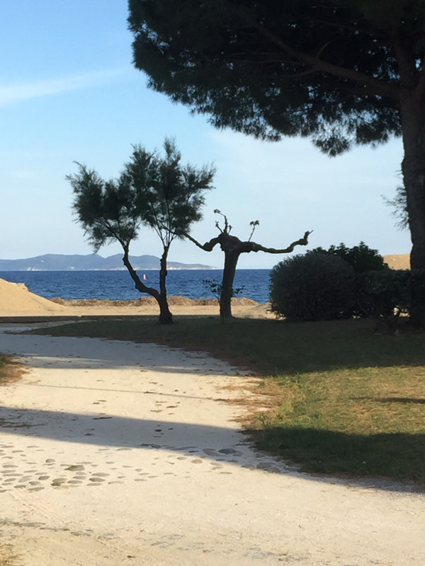 A99C101E-7651-4F76-A4BF-90934D599A30