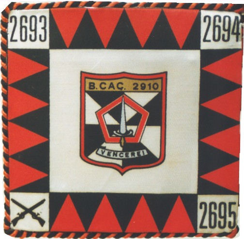 BCac2910