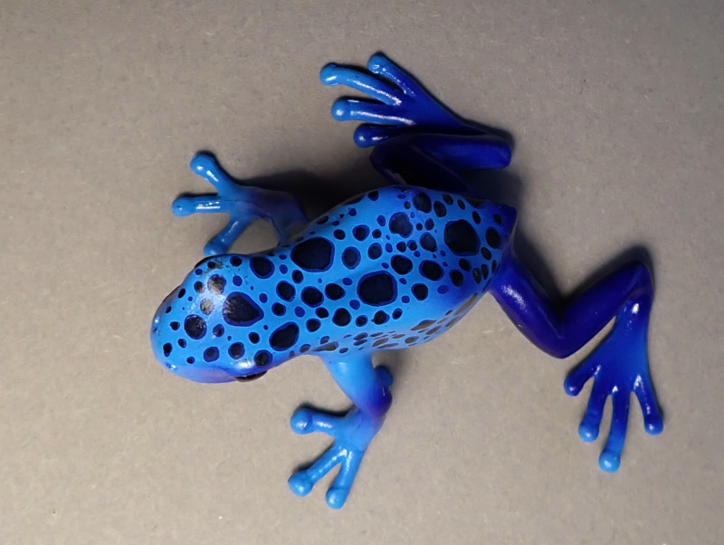 Three new beautyful poison dart frogs from Bullyland :-) Bully68523-Back