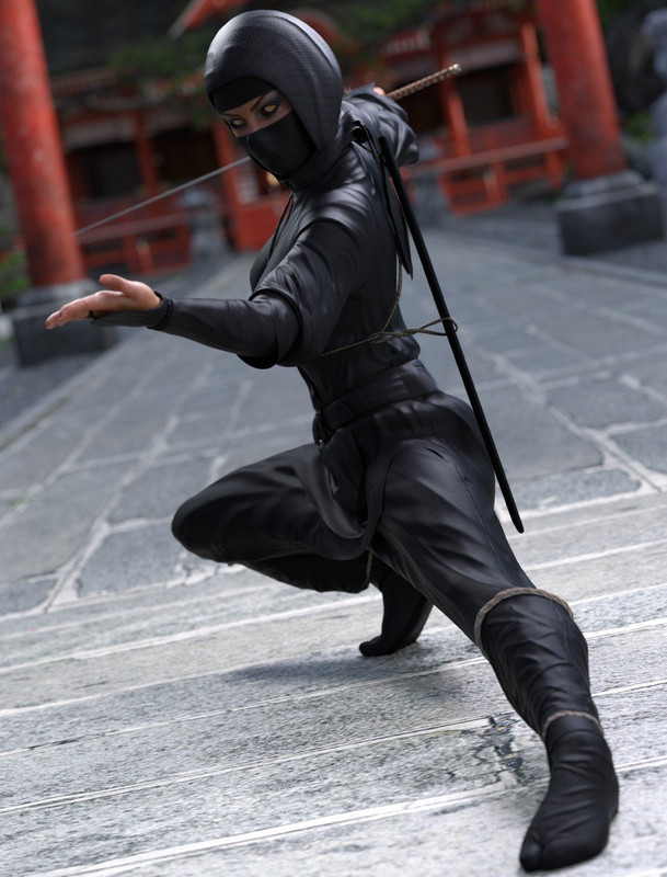 dForce Ninjitsu Outfit for Genesis 8 Female(s) dForce Ninjitsu Outfit for Genesis 8 Female(s)