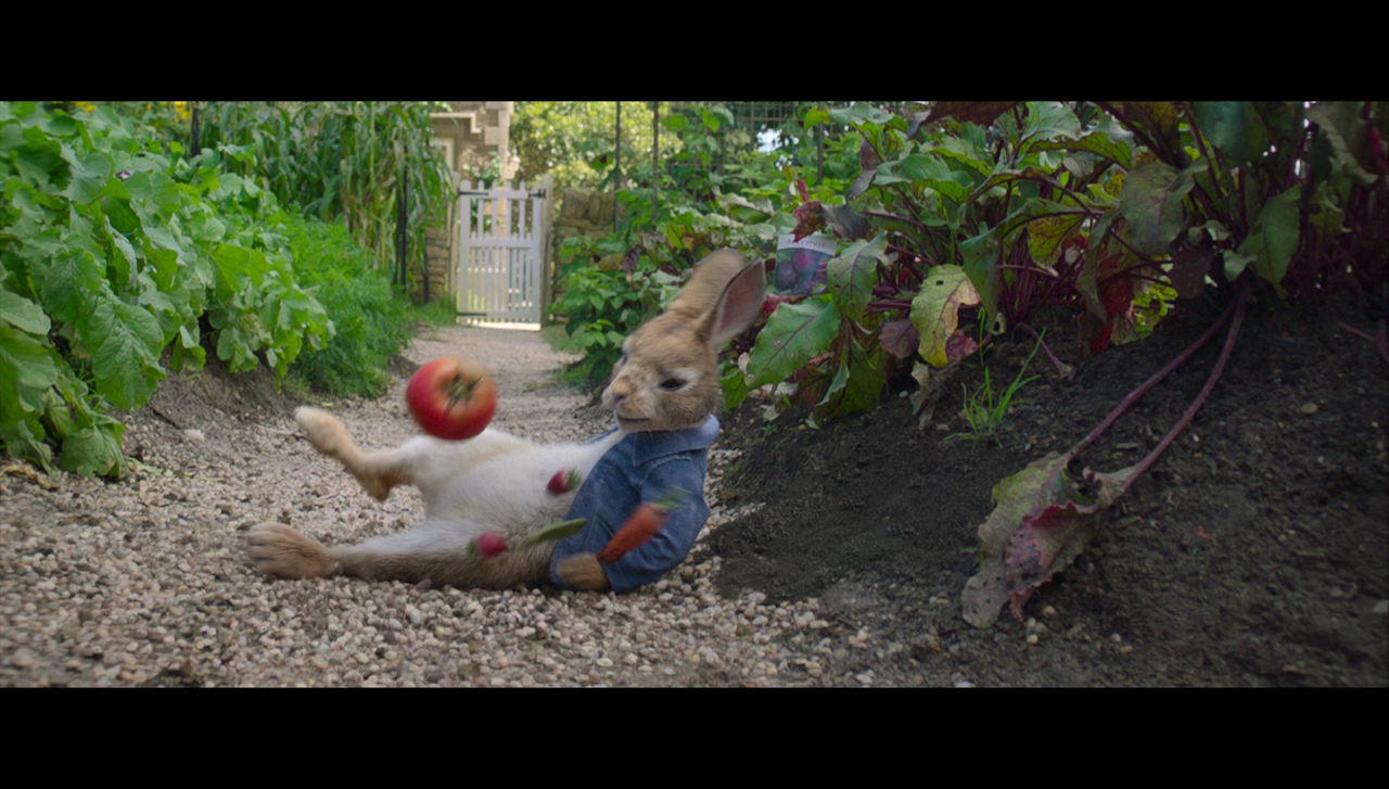 vlcsnap-2018-05-01-11h26m25s553