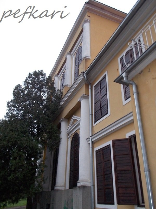 Slika