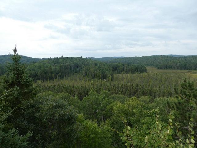 DOS SEMANAS EN EL ESTE DE CANADÁ (ONTARIO Y QUÉBEC) - Blogs de Canada - Parque Provincial de Algonquin (2)