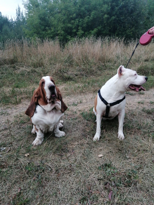 DFD8E023-6FAD-4A2B-A2CA-3C87624E54AC