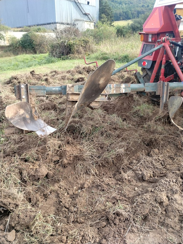 IMG_20250913_093955591